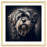 Old Dog 03 thumbnail