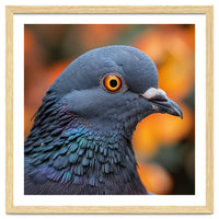 Close Up Of A Pigeon's Head And Neck