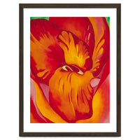 Georgia O’Keeffe – Canna Red and Orange (1926) | Vibrant Modernist Floral Painting in Bold Organic Forms