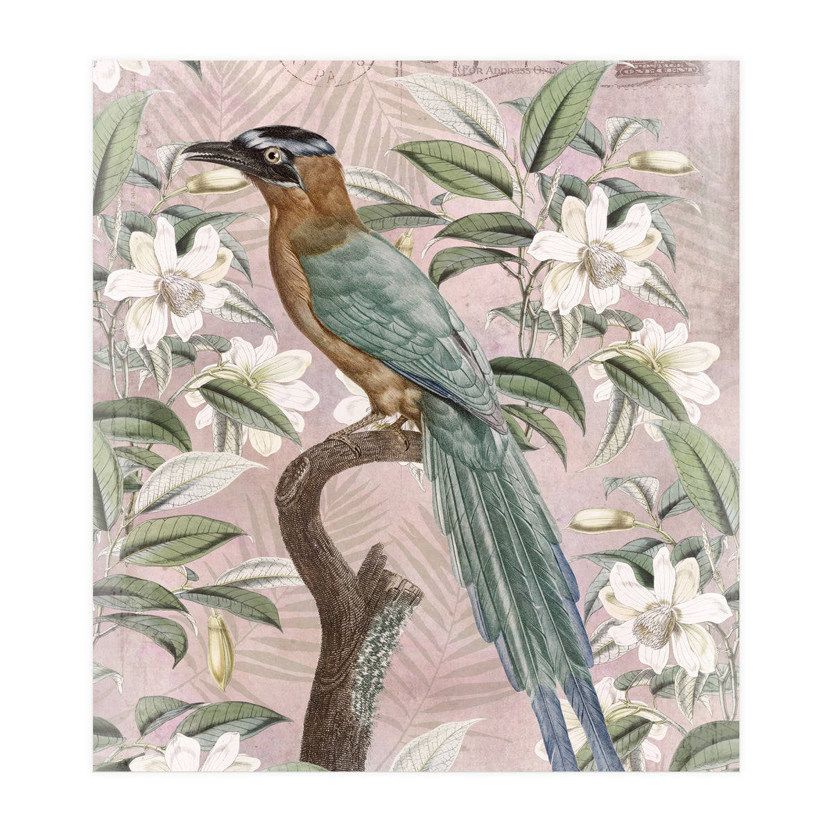 Exotic Bird (Print Only)