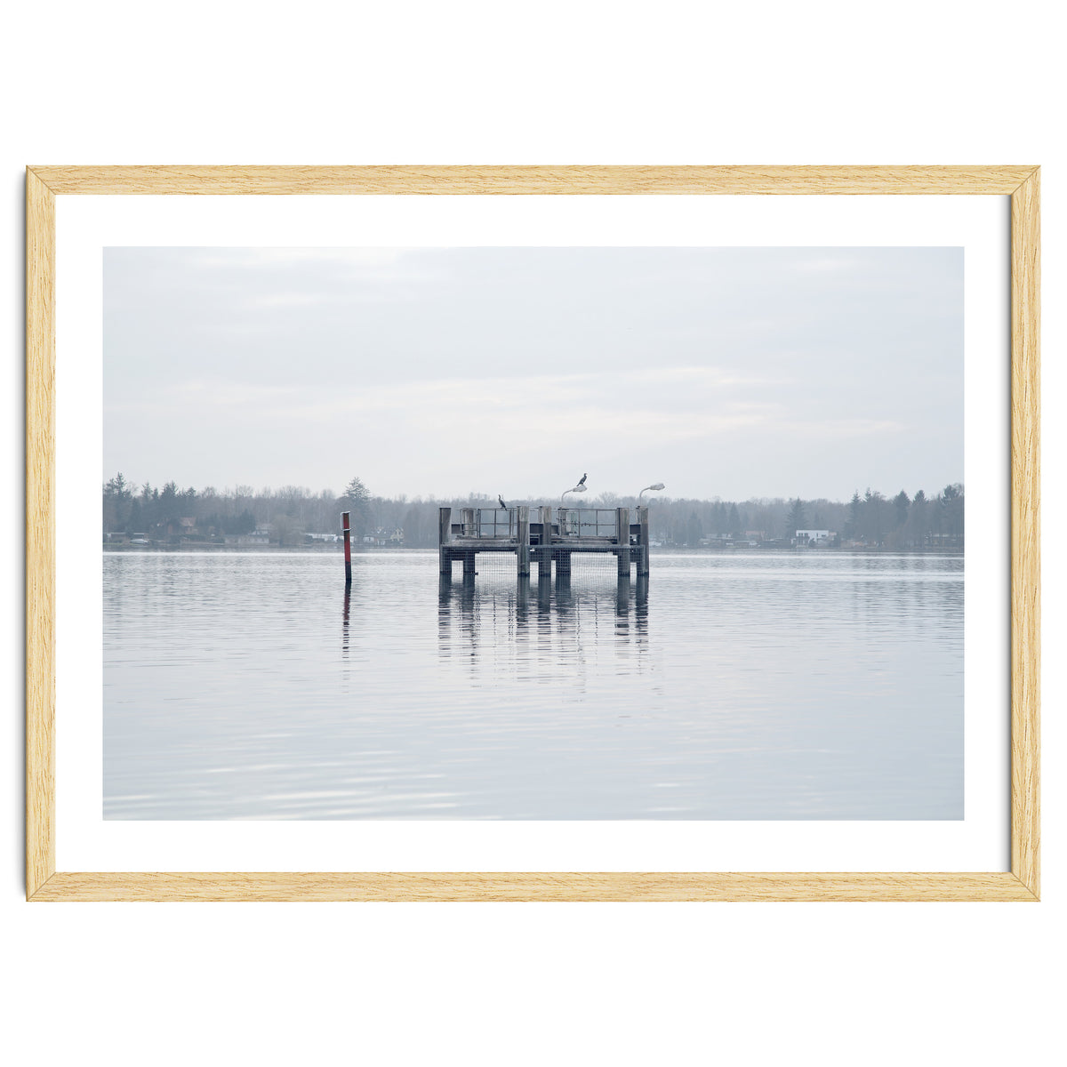 Birds rest in the Lake