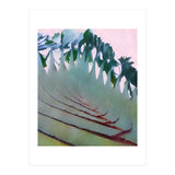 Palm Springs (Print Only) thumbnail