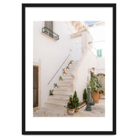 Stairs with cacti