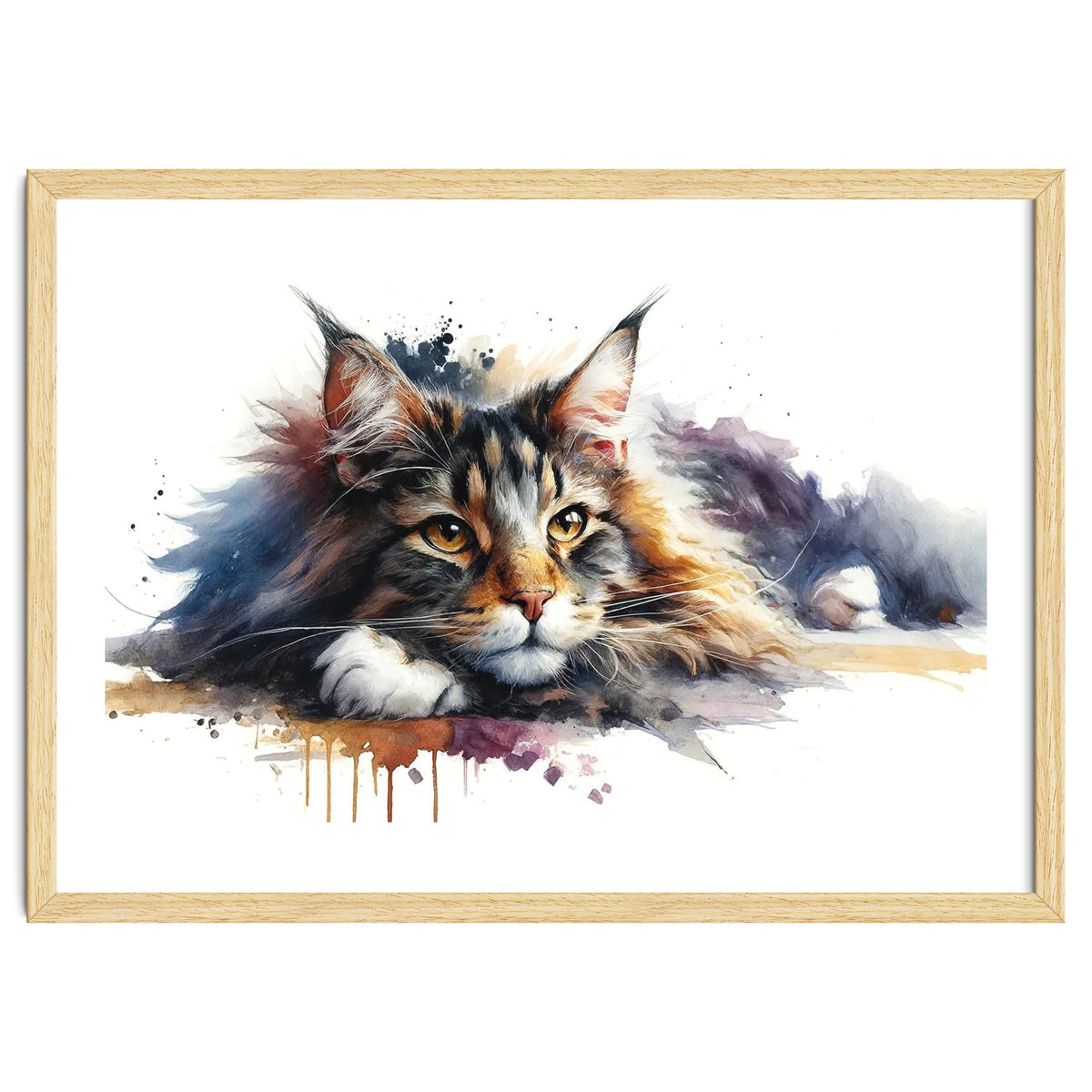Maine Coon Resting Portrait