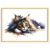Maine Coon Resting Portrait