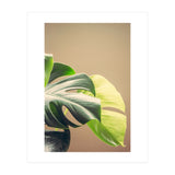 Dark And Light (Print Only) thumbnail