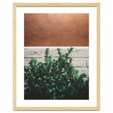 Plant + Copper thumbnail