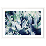 Cactus Garden thumbnail