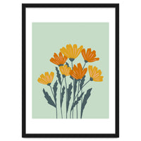 Orange and Yellow Flowers