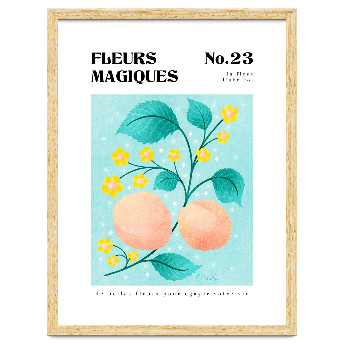 Magical Flowers No.23 Apricot Blossom