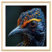 Close Up Of A Colorful Bird Head And Eye