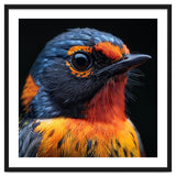 Vibrant Bird With Orange And Blue Plumage thumbnail