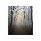 Ethereal Morning Light Breaking Through Dense Forest Fog (Print Only) thumbnail