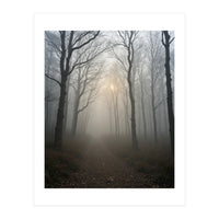 Ethereal Morning Light Breaking Through Dense Forest Fog (Print Only)