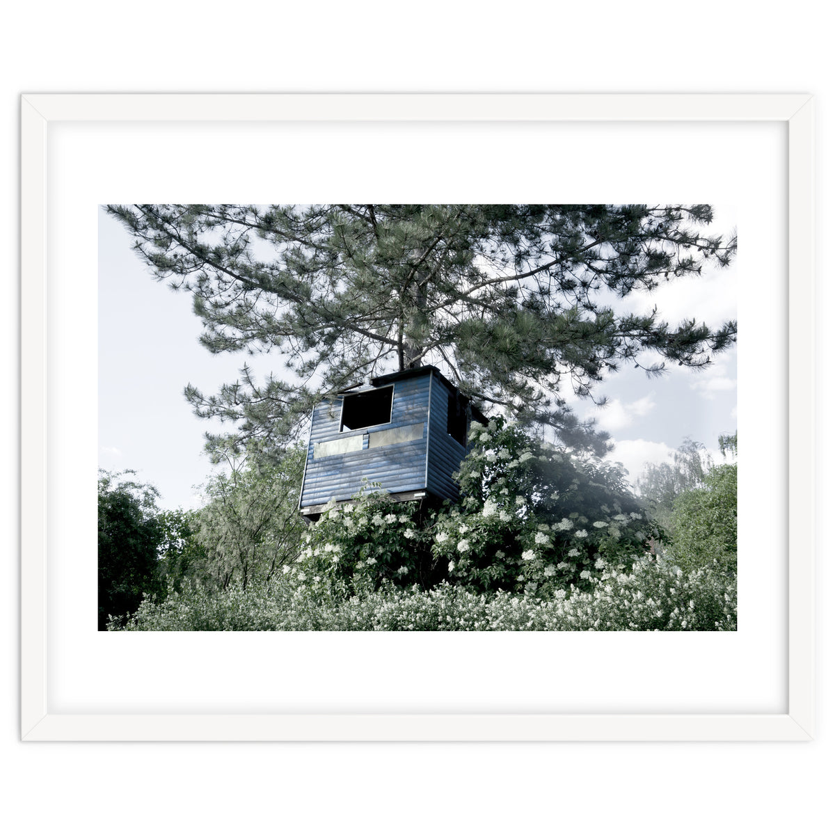 Blue hut on the tree