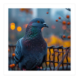 Pigeon With Water Droplets  (Print Only) thumbnail