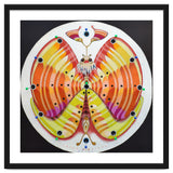 Clock butterfly thumbnail