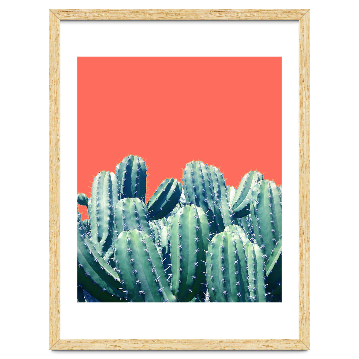 Cactus On Coral