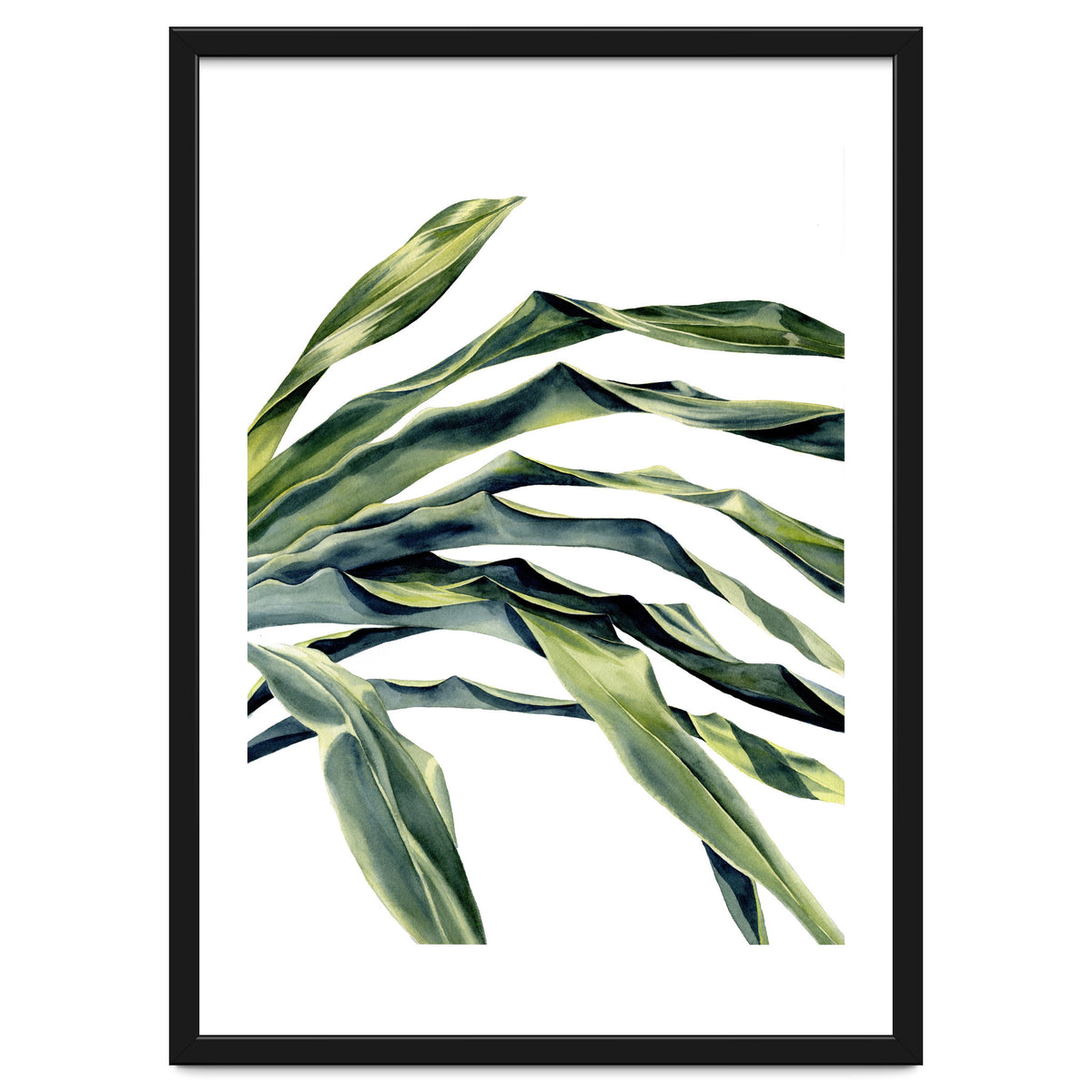 Green Palm Leaves