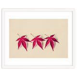 Dancing Leaves thumbnail