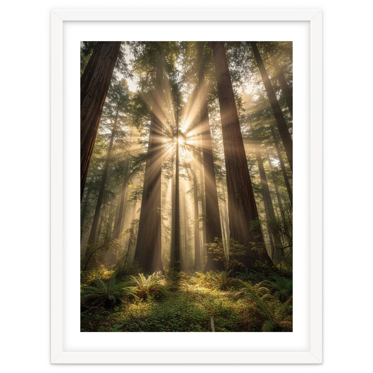 Ethereal Redwood Sanctuary: Sunbeams in the Ancient Forest