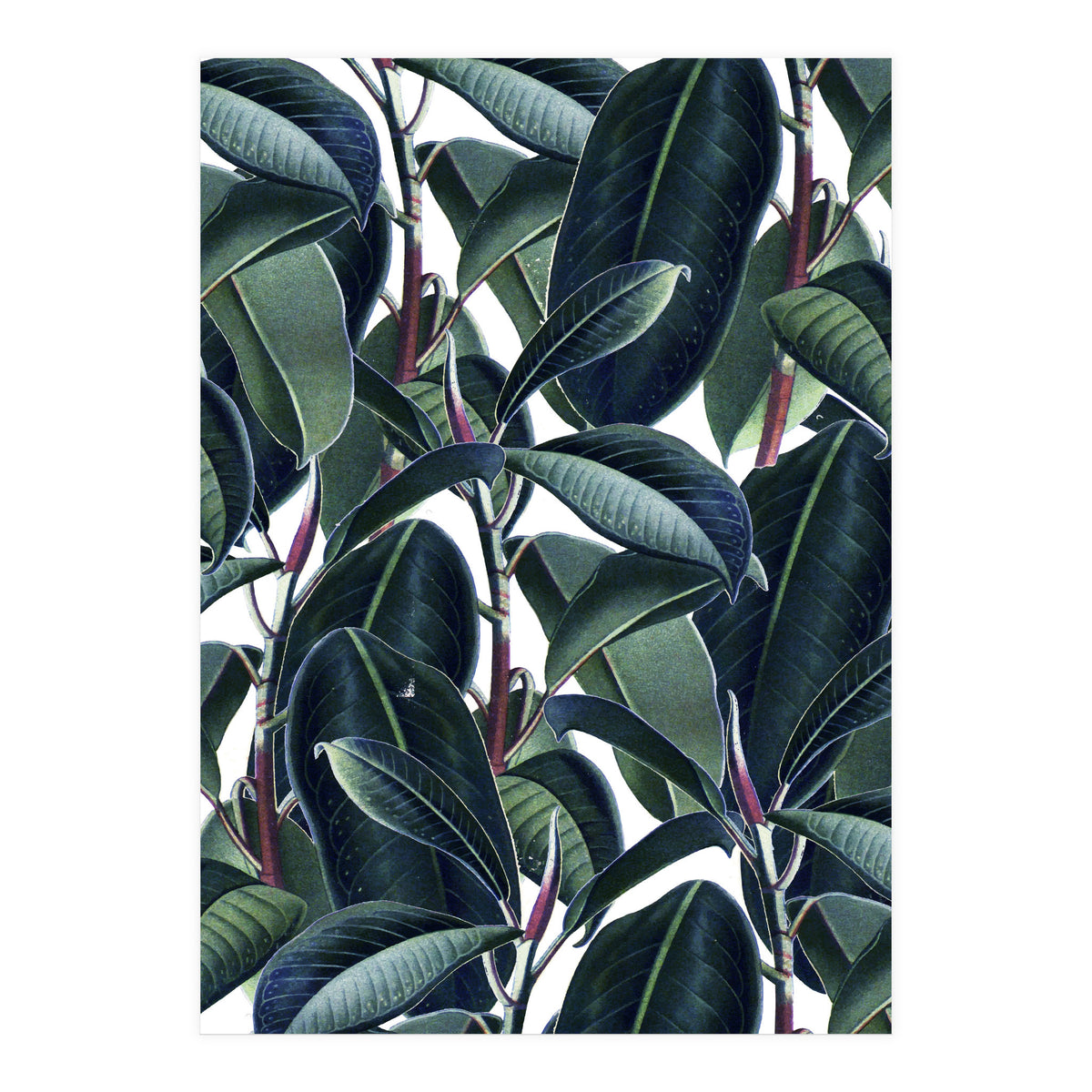 Rubber & Glue #society6 #decor #buyart  (Print Only)