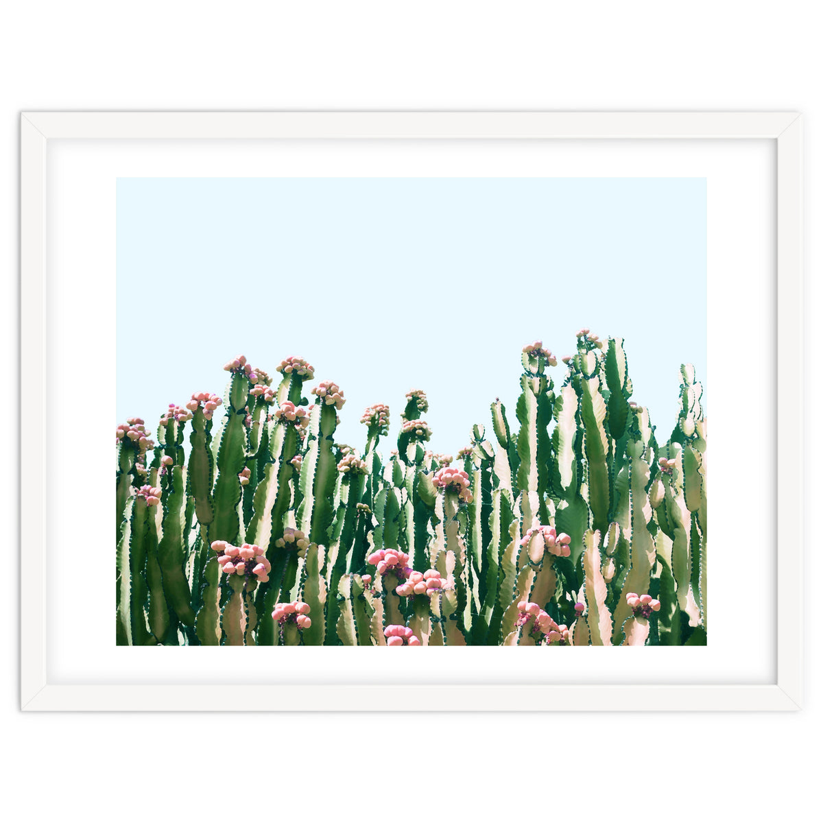 Blush Cactus #society6 #decor #buyart