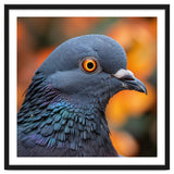 Close Up Of A Pigeon's Head And Neck thumbnail