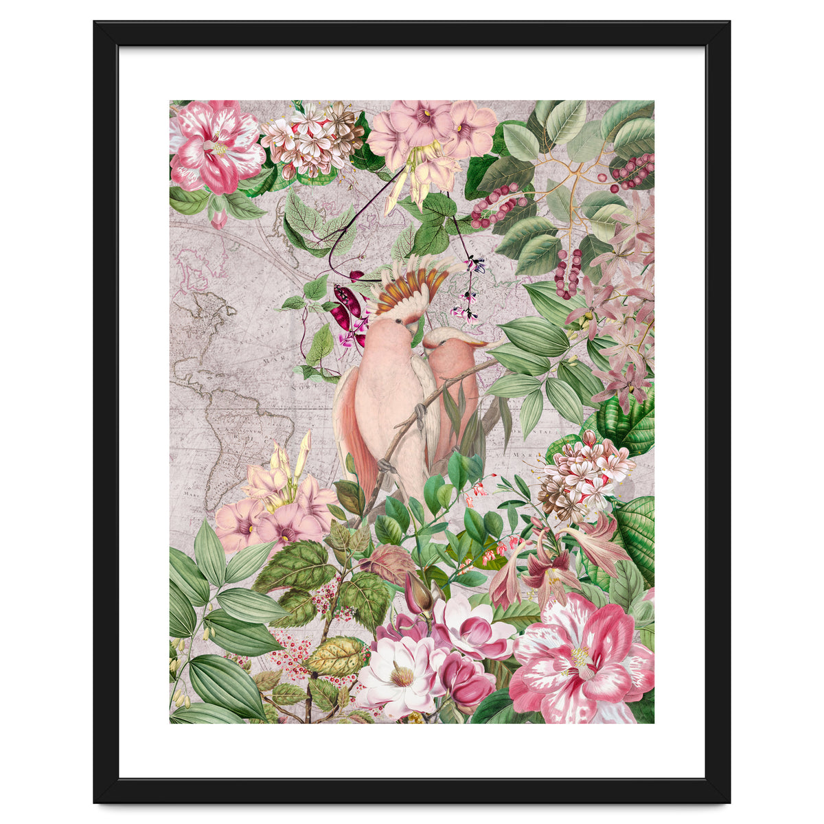 Parrot Exotic Jungle