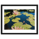 Lotus Pond | Landscape thumbnail