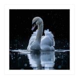 Majestic Swan Swimming In Dark Water (Print Only) thumbnail