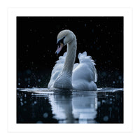 Majestic Swan Swimming In Dark Water (Print Only)