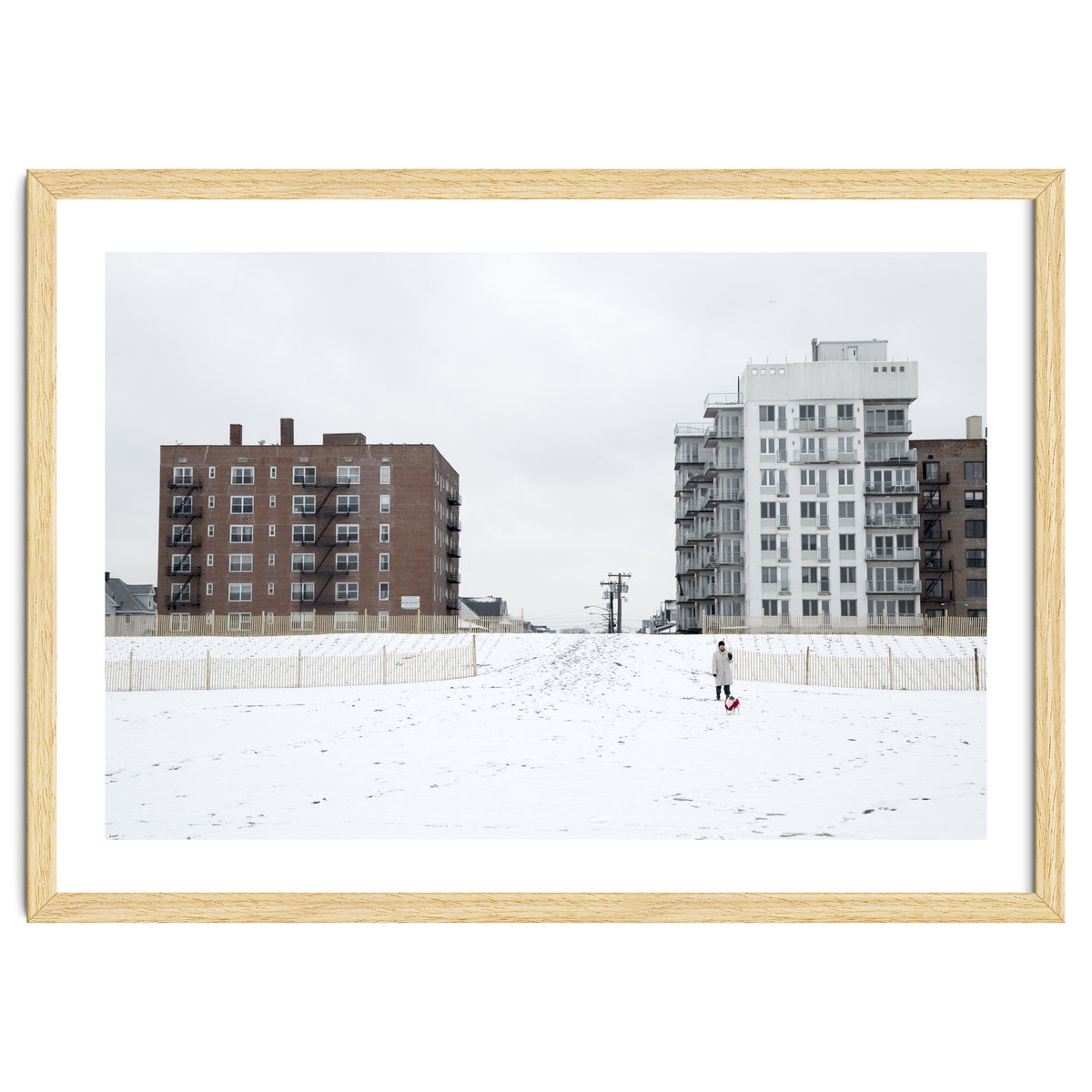 Walking with the dog on a snowy day