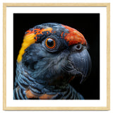 Close Up Of A Colorful Parrot Bird's Head thumbnail