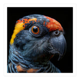 Close Up Of A Colorful Parrot Bird's Head (Print Only) thumbnail