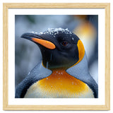 King Penguin In Falling Snow thumbnail
