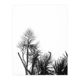 Miminalist Palm (Print Only) thumbnail