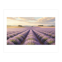 Provençal Sunset: Lavender Field Landscape (Print Only)
