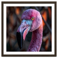 Close Up Of A Pink Flamingo Bird Face