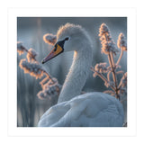 Swan Portrait Dew Drops Morning Light (Print Only) thumbnail