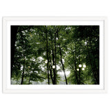 Light bulb among the trees in the summer forest thumbnail