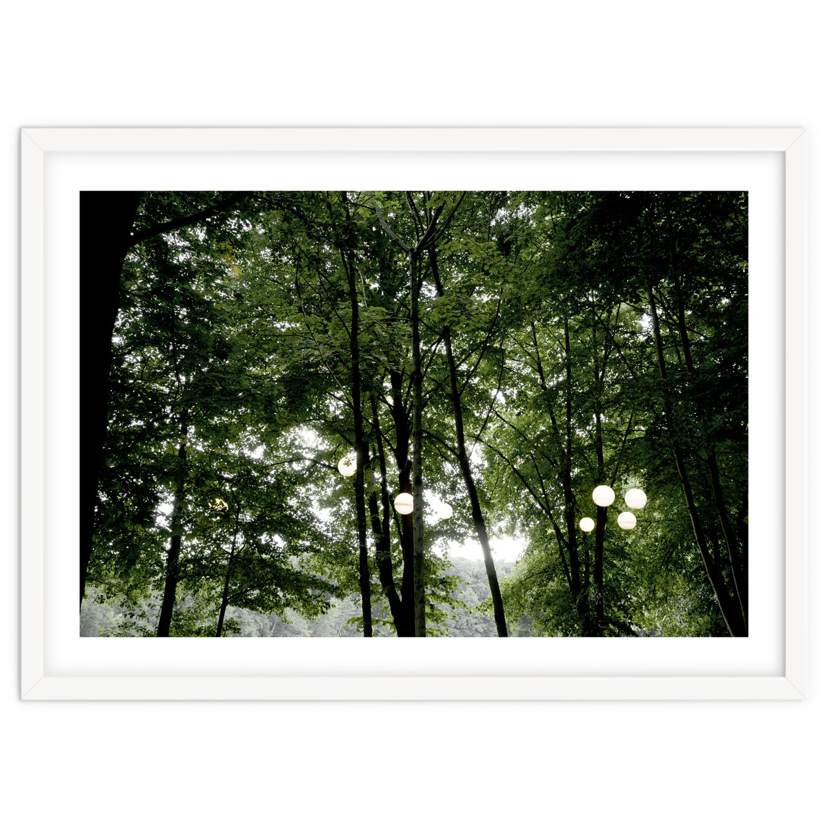 Light bulb among the trees in the summer forest