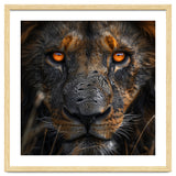Majestic Lion Face Intense Orange Eyes Close Up thumbnail