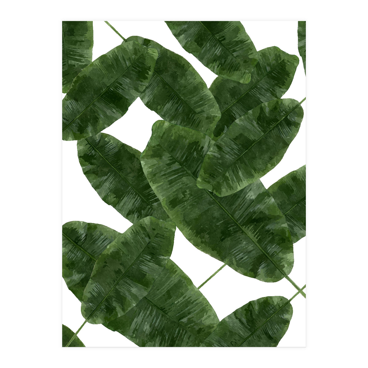 Banana Leaves V2 (Print Only)