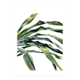Green Palm Leaves (Print Only) thumbnail
