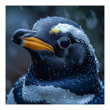 Macro view of a Penguin with Water Droplets (Print Only) thumbnail