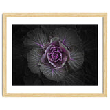 Backyard Flowers No 108 Color Version thumbnail