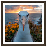 Albatross Bird With Intense Gaze By The Sea thumbnail