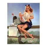 Countryside Pinup Girl Posing On A Fence With Love Letters And A Full Mailbox (Print Only) thumbnail