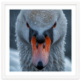 Close Up Of A Swan's Face With Water Droplets thumbnail